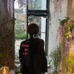 Trois de LEI 立体格纹发圈